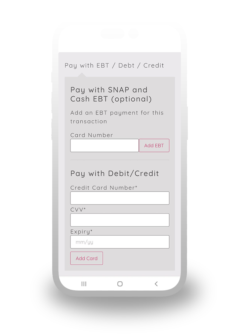 https://paynowdirect.com/wp-content/uploads/2022/12/Pay-Now-Direct-phone-with-SNAP-check-out-02.png